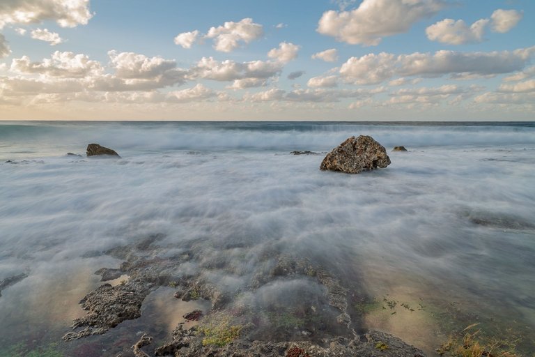 D85_9924.jpg