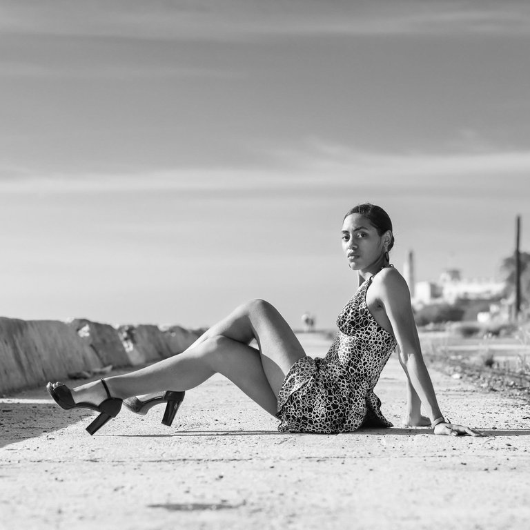 D85_8300 copia hdbn.jpg