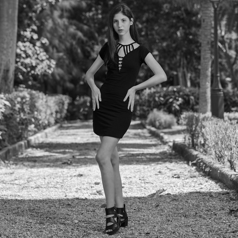D85_1536 copia hdbn.jpg
