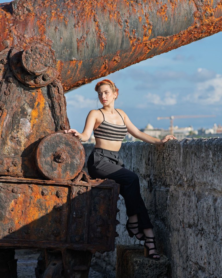 D85_7424 hd.jpg