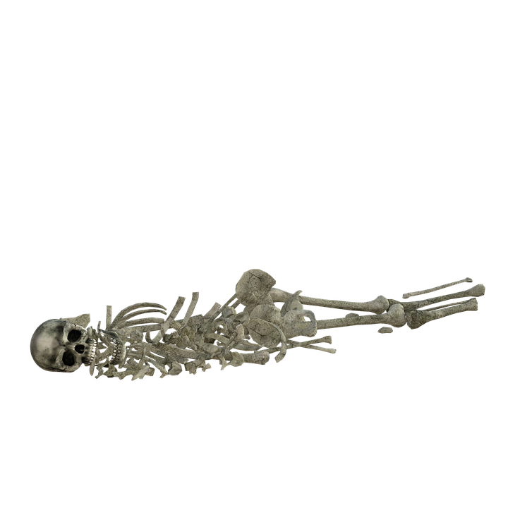 skeleton-4567486_960_720.png