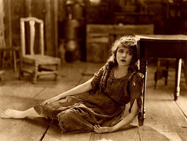 mary-pickford-g86c24bf6c_640.jpg