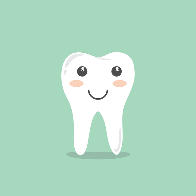 tooth-g0d4875a69_640.png