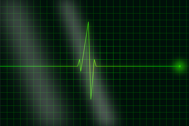 electrocardiogram-g0a50be7fa_640.png