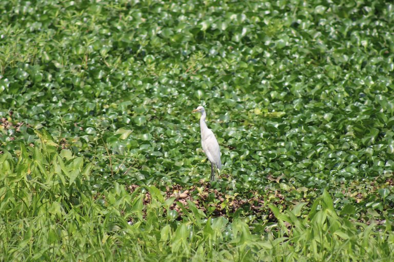 IMG_3032.JPG