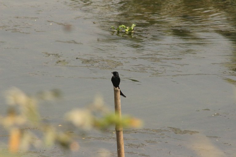 IMG_2941.JPG