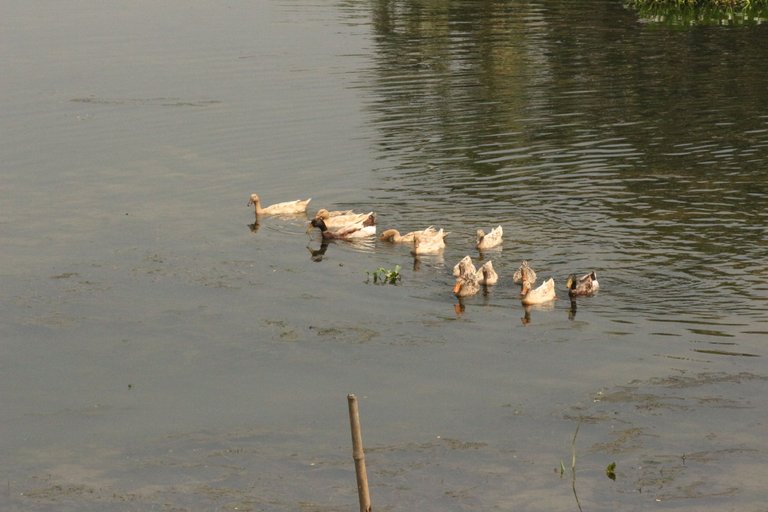 IMG_2948.JPG