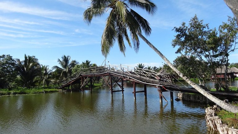 puentes de madera.jpg