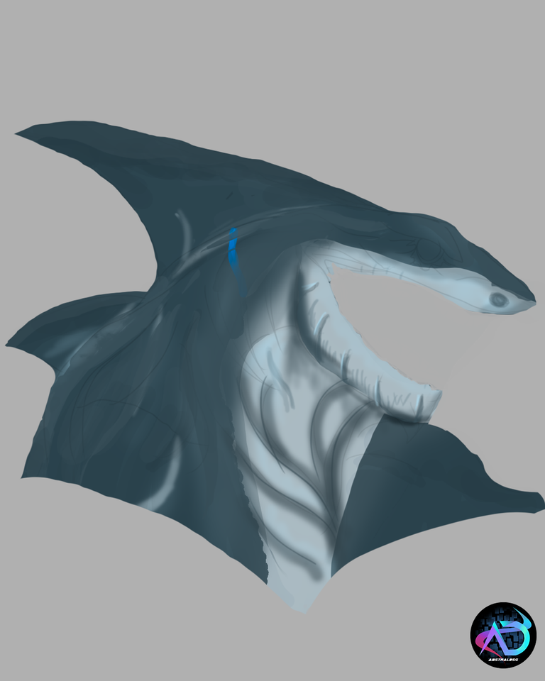 SHARK BOC 6.png