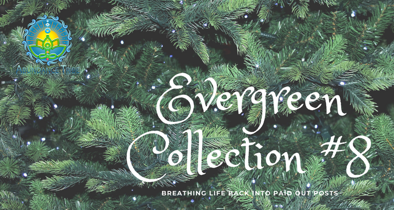Evergreen Collection 1 8.png
