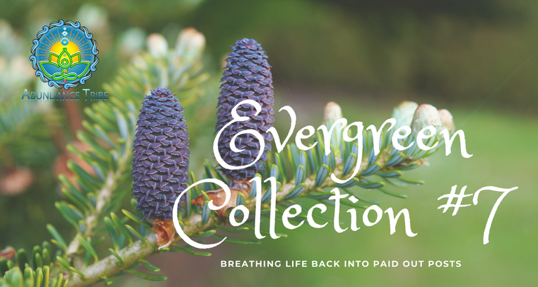 AT Evergreen Collection Logo.png