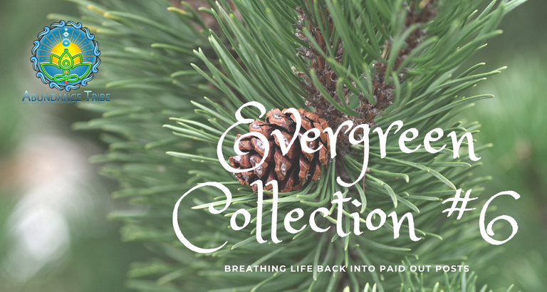 Evergreen Collection 1 6.png
