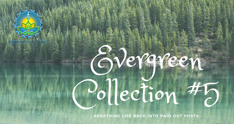 Evergreen Collection 1 5.png