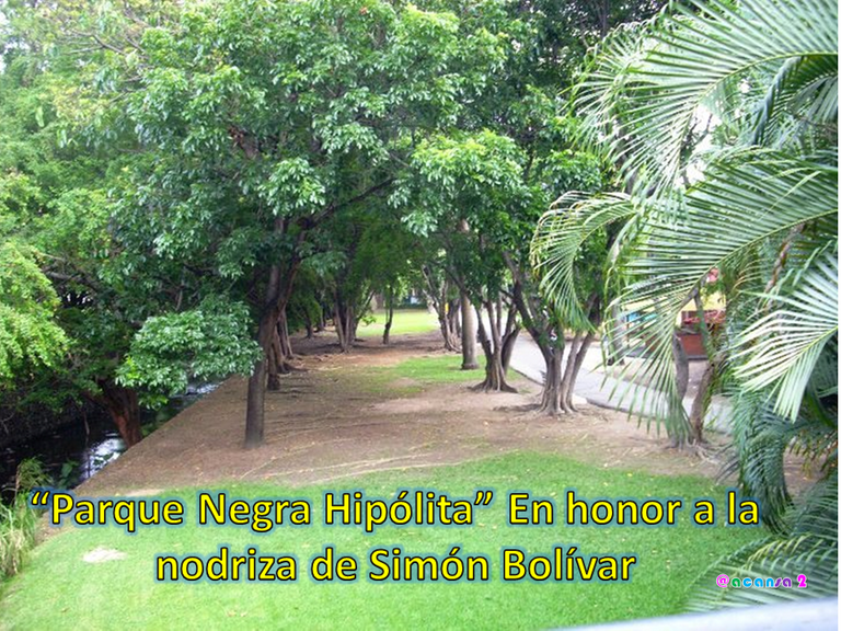 parque2.png