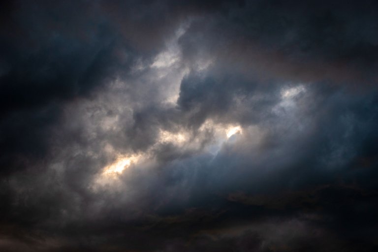 DSC_0021.jpg