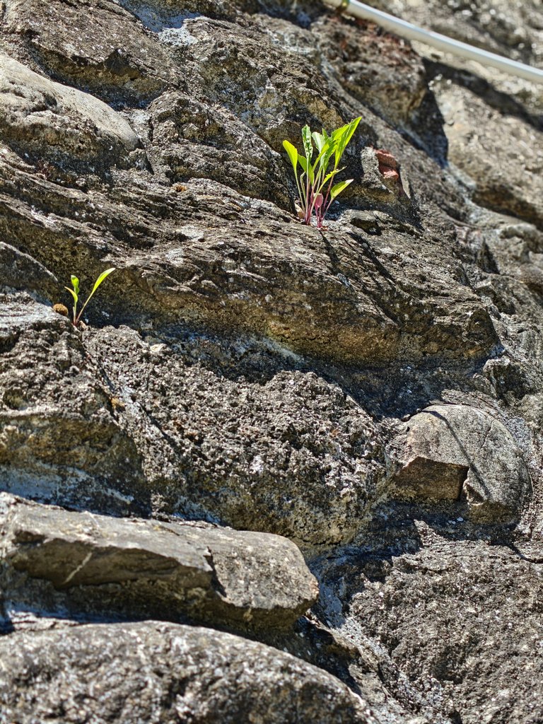 1000042951.jpg