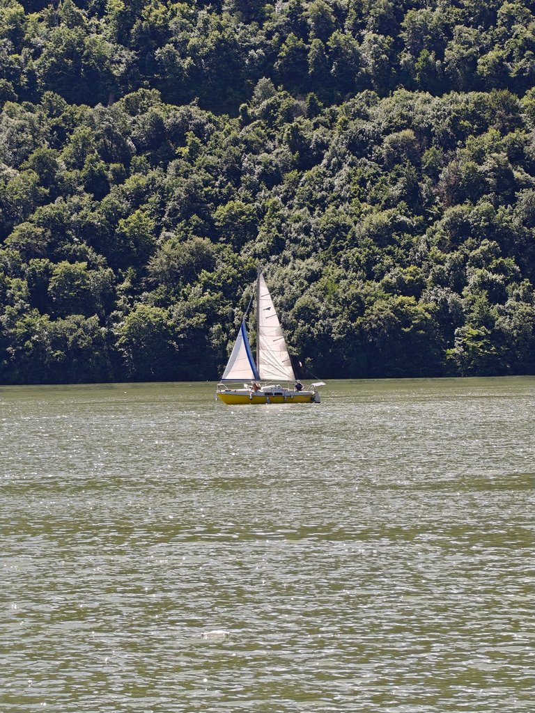 1000043148.jpg