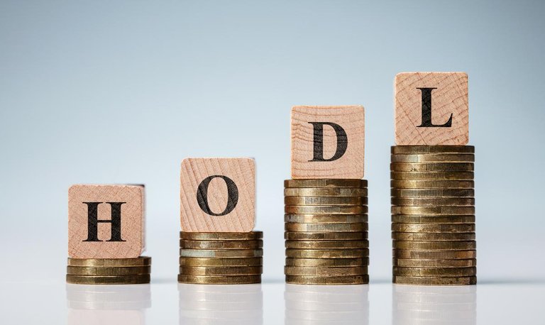 Hodl-crypto-1-1.jpg