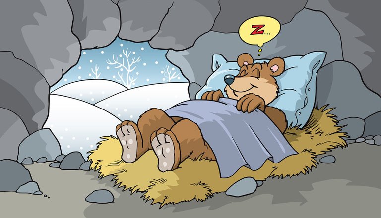 hibernation-bear-hibernating.jpeg