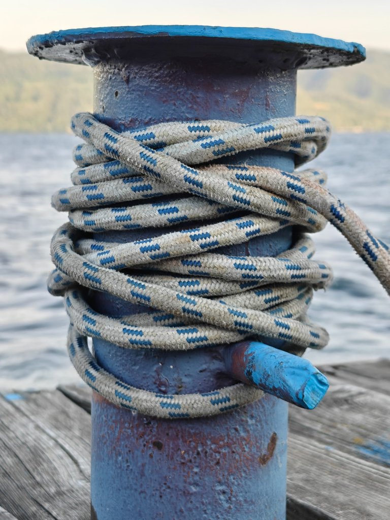 1000047721.jpg