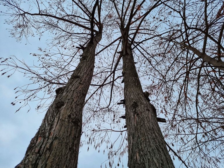 20221128_104935-01.jpeg