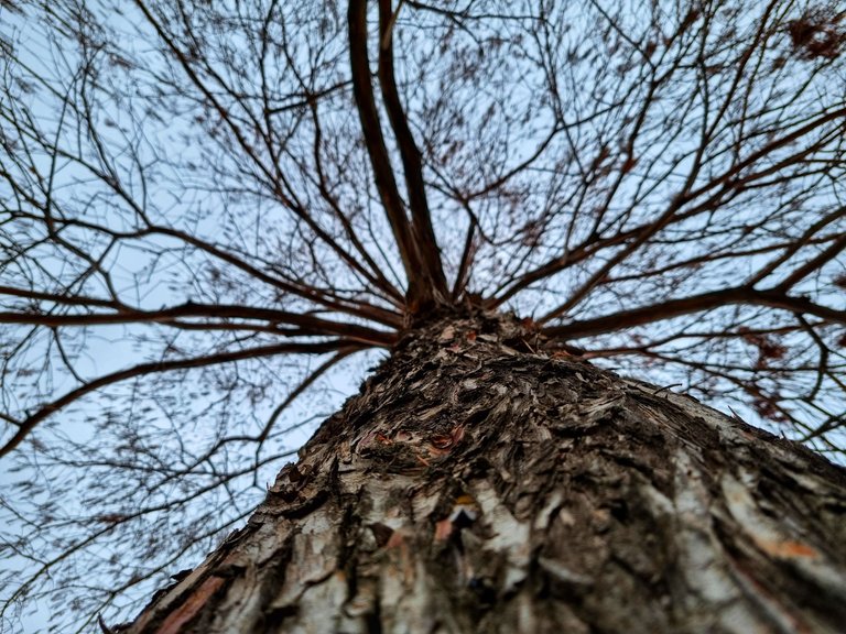 20221128_104857-01.jpeg