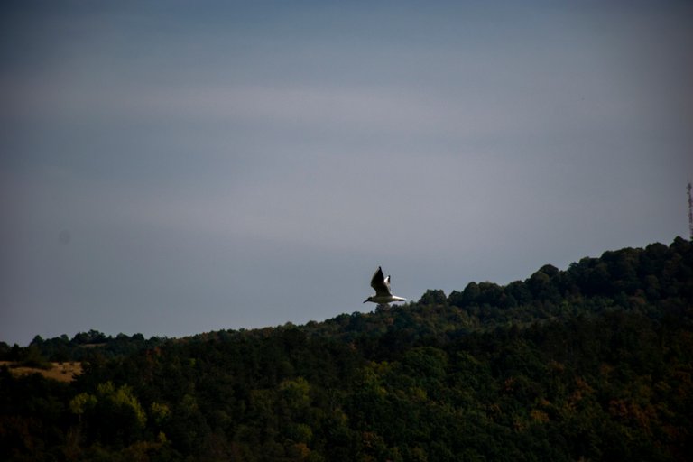 DSC_0033.jpg