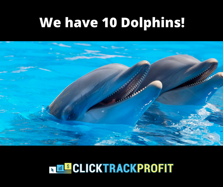 ctp 10 dolphins.png