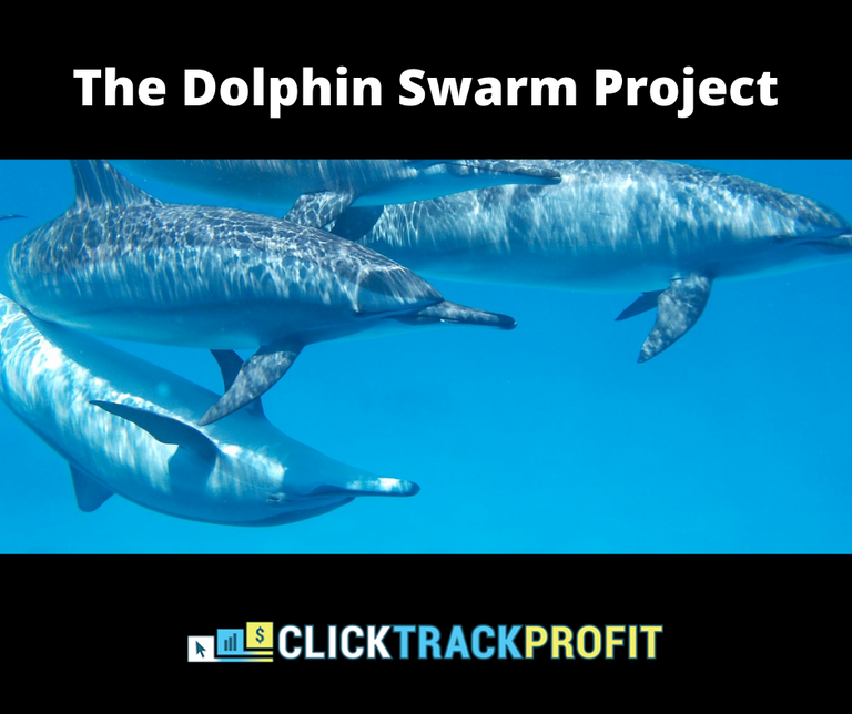 The Dolphin Swarm Project.png
