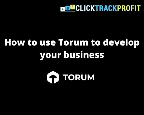 How to use Torum to develop your business.jpg