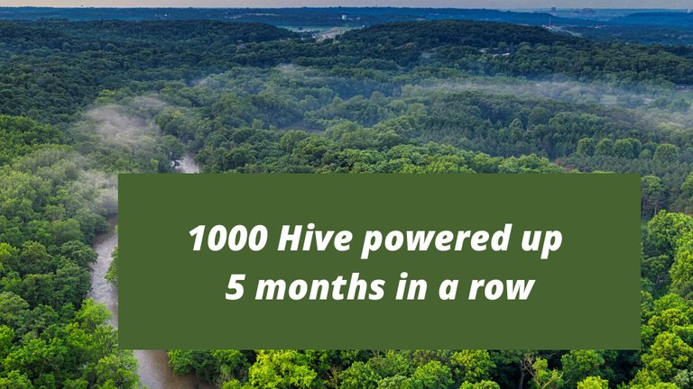 1000 hive powered up 5 months in a row.jpg