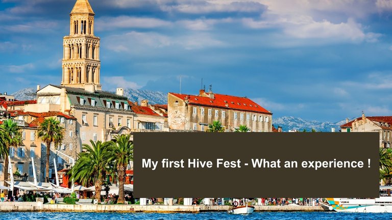 My first Hive Fest – What an experience