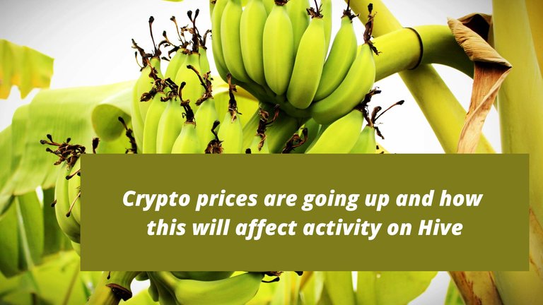 Crypto prices are going up and how this will affect activity on Hive.jpg