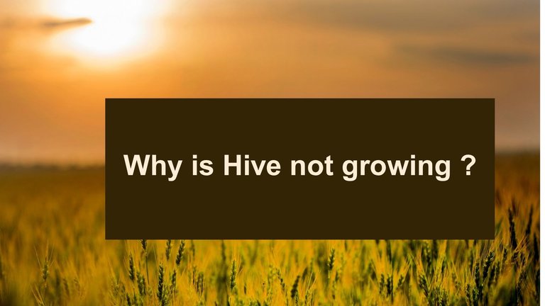 Why is Hive not growing?