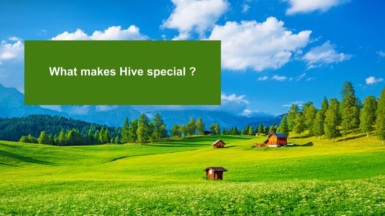 What makes Hive special?