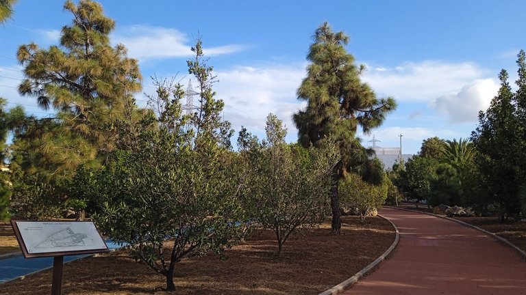 Parque Las Mantecas Tenerife (8).jpg