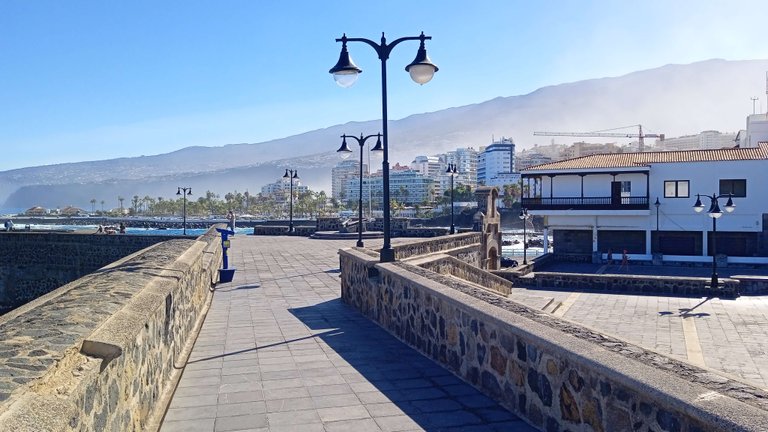 Puerto de La Cruz Tenerife Wednesday Walk Hive (15).jpg