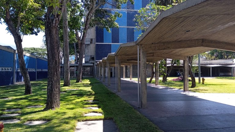 UCV (7).jpg