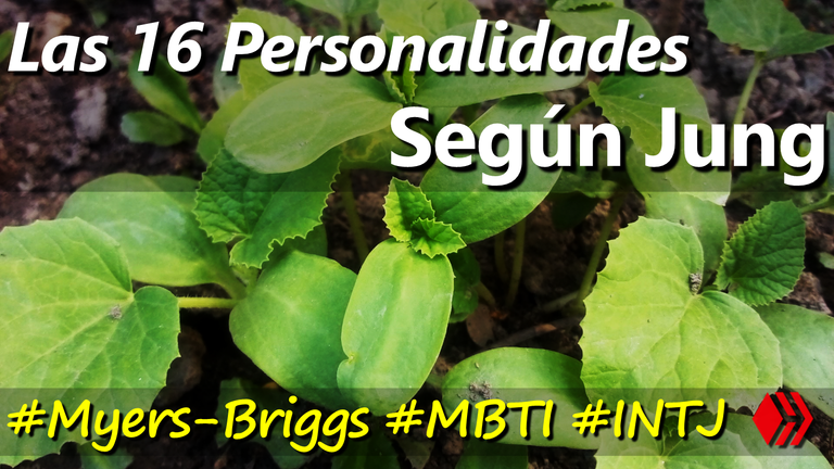 Las 16 Personalidades Según Jung MBTI Myers-Briggs Hive Humanitas.png