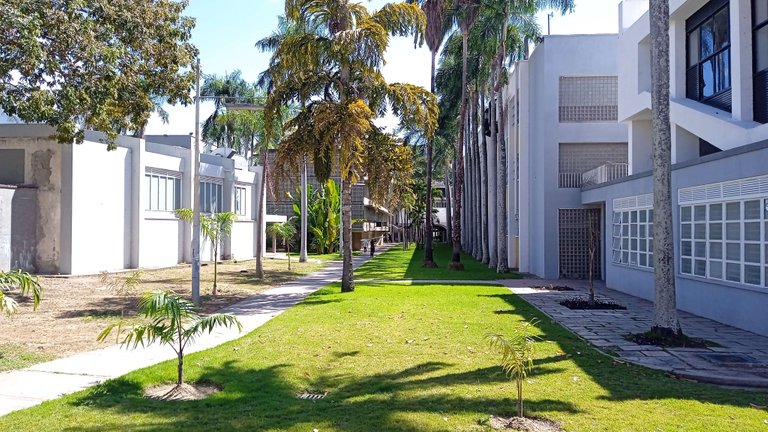 UCV (1).jpg
