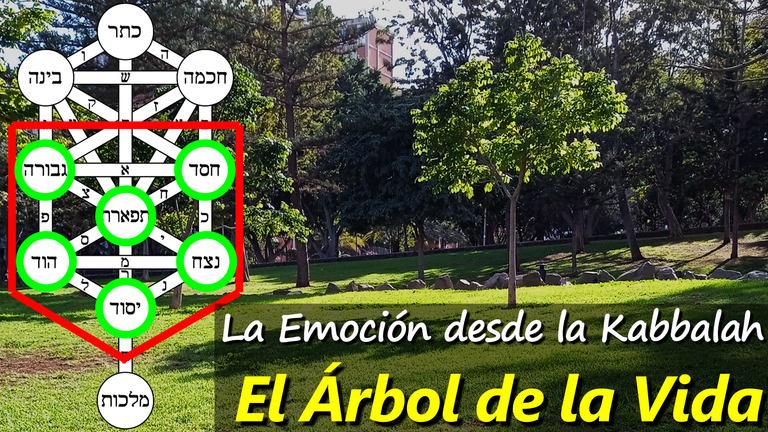 Una Mirada a las Emociones desde la Kabbalah y el Árbol de la Vida.png