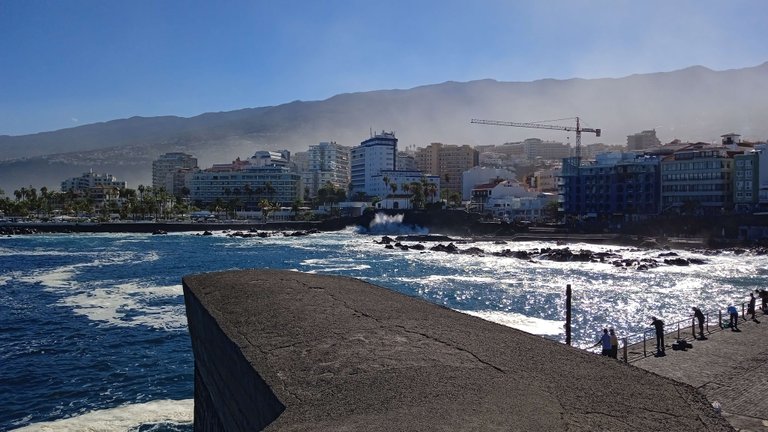 Puerto de La Cruz Tenerife Wednesday Walk Hive (21).jpg