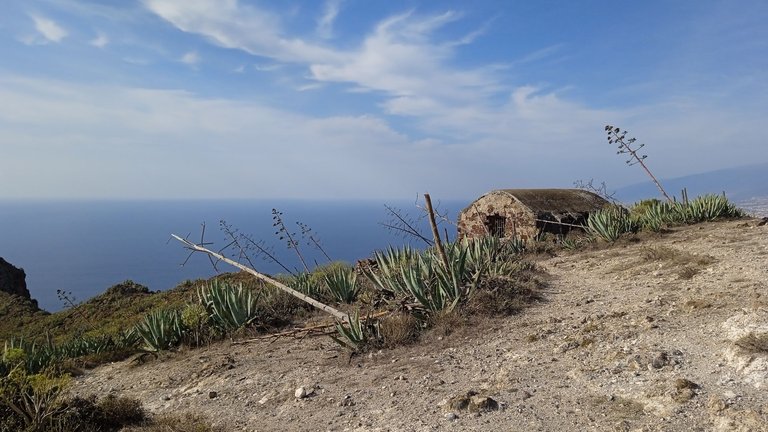Igueste Tenerife Atalaya Playa Antequera Hive PinMapple (23).jpg