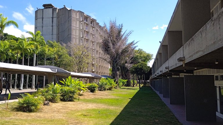 UCV 5.jpg