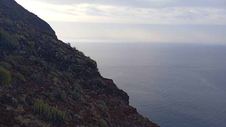 Igueste Tenerife Atalaya Playa Antequera Hive PinMapple (29).jpg