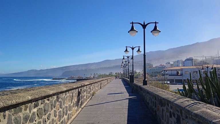 Puerto de La Cruz Tenerife Wednesday Walk Hive (13).jpg