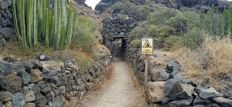 Playa de Los Roques Tenerife Hive PinMapple (13).jpg