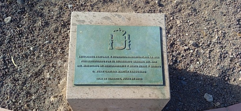 Plala La Nea Radazul Hive Tenerife (4).jpg
