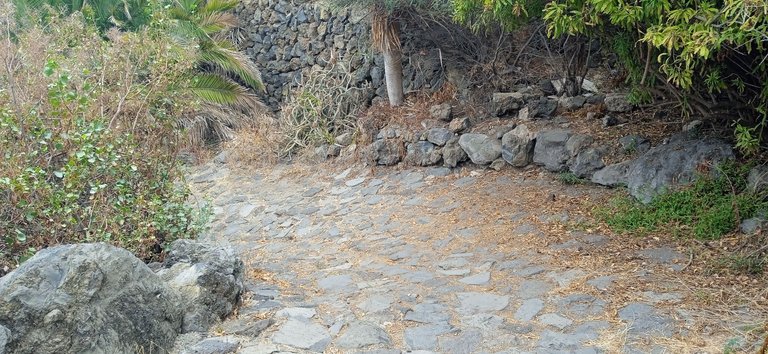 Playa de Los Roques Tenerife Hive PinMapple (5).jpg