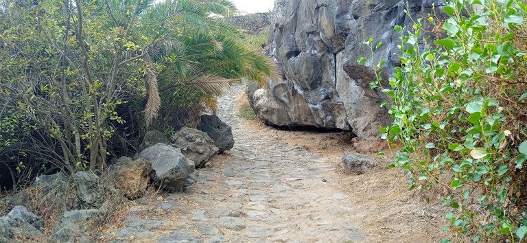 Playa de Los Roques Tenerife Hive PinMapple (31).jpg